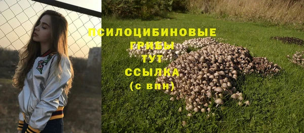 трава Гусь-Хрустальный