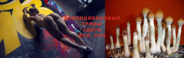 марки lsd Дмитров