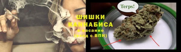трава Гусь-Хрустальный