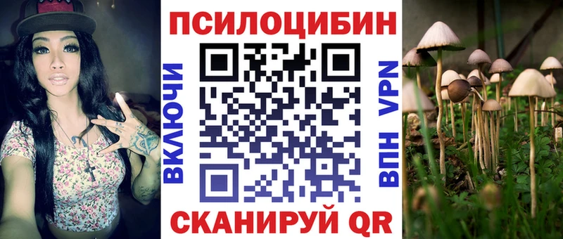 MEGA tor  Гаврилов Посад  Галлюциногенные грибы Magic Shrooms 